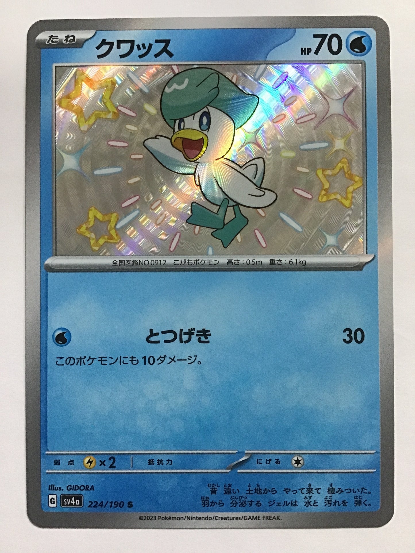 [JP] クワッス/クワッス/ｸﾜｯｽ - SV4a 224/190/S