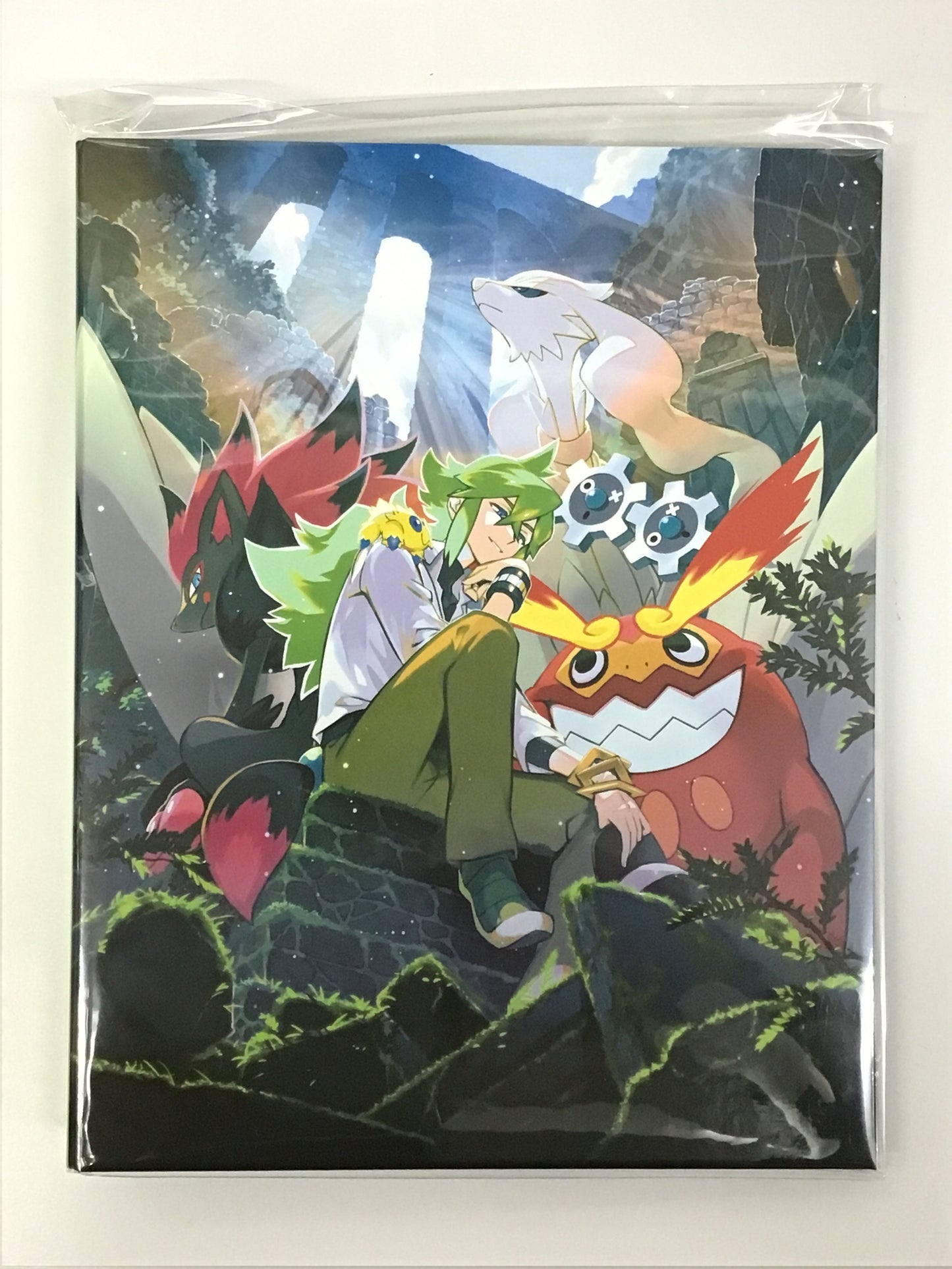 ポケモンカード コレクションファイルセット N カードファイル