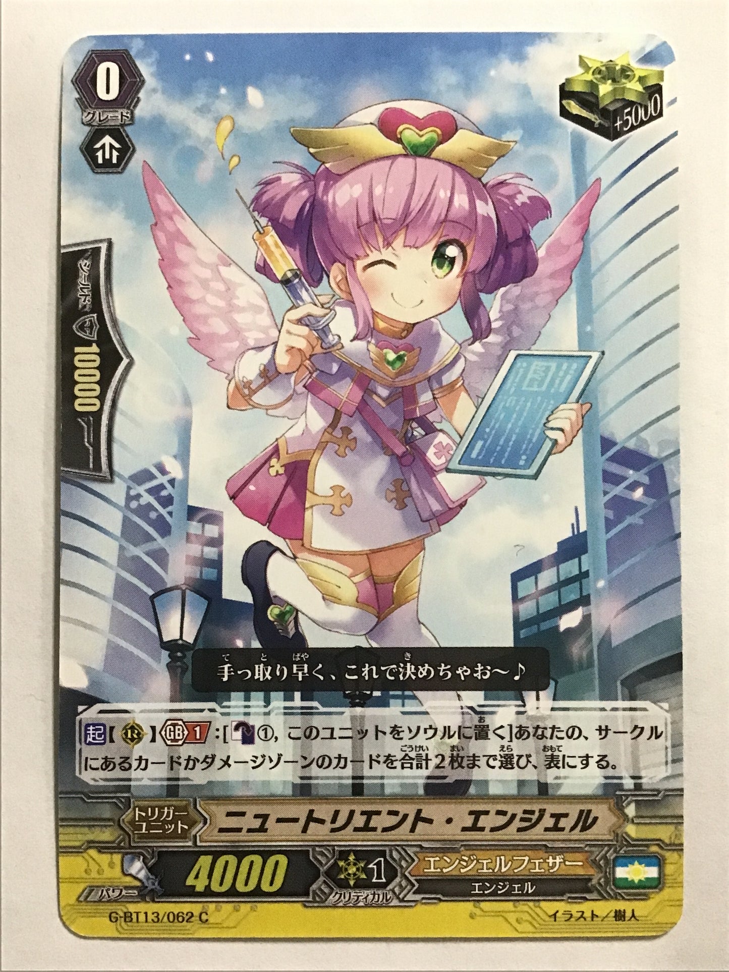 [EN] Nutrient Angel/Nutrient Angel/Nutrient Angel - G-BT13/062/C/