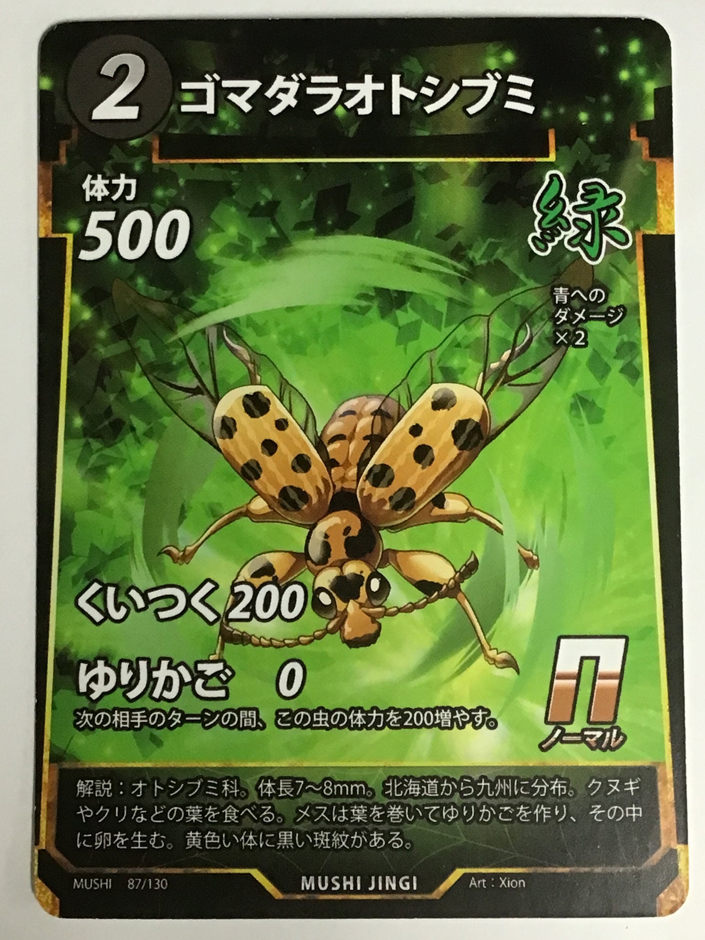 [JP]ゴマダラオトシブミ/ゴマダラオトシブミ/ｺﾞﾏﾀﾞﾗｵﾄｼﾌﾞﾐ/  - 87/130/N