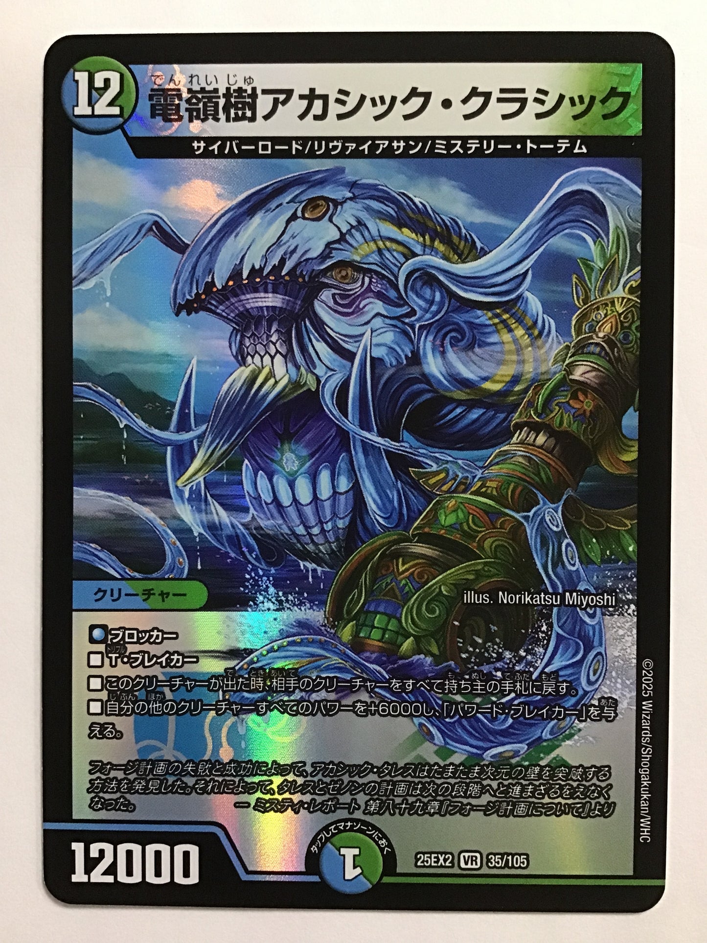 [JP] 電嶺樹アカシック・クラシック/デンレイジュアカシッククラシック/ﾃﾞﾝﾚｲｼﾞｭｱｶｼｯｸｸﾗｼｯｸ - 25EX2 35/105/VR
