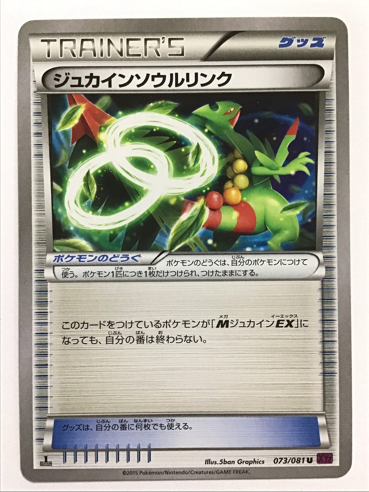[JP] ジュカインソウルリンク/ジュカインソウルリンク - XY7 073/081/U (1ED)