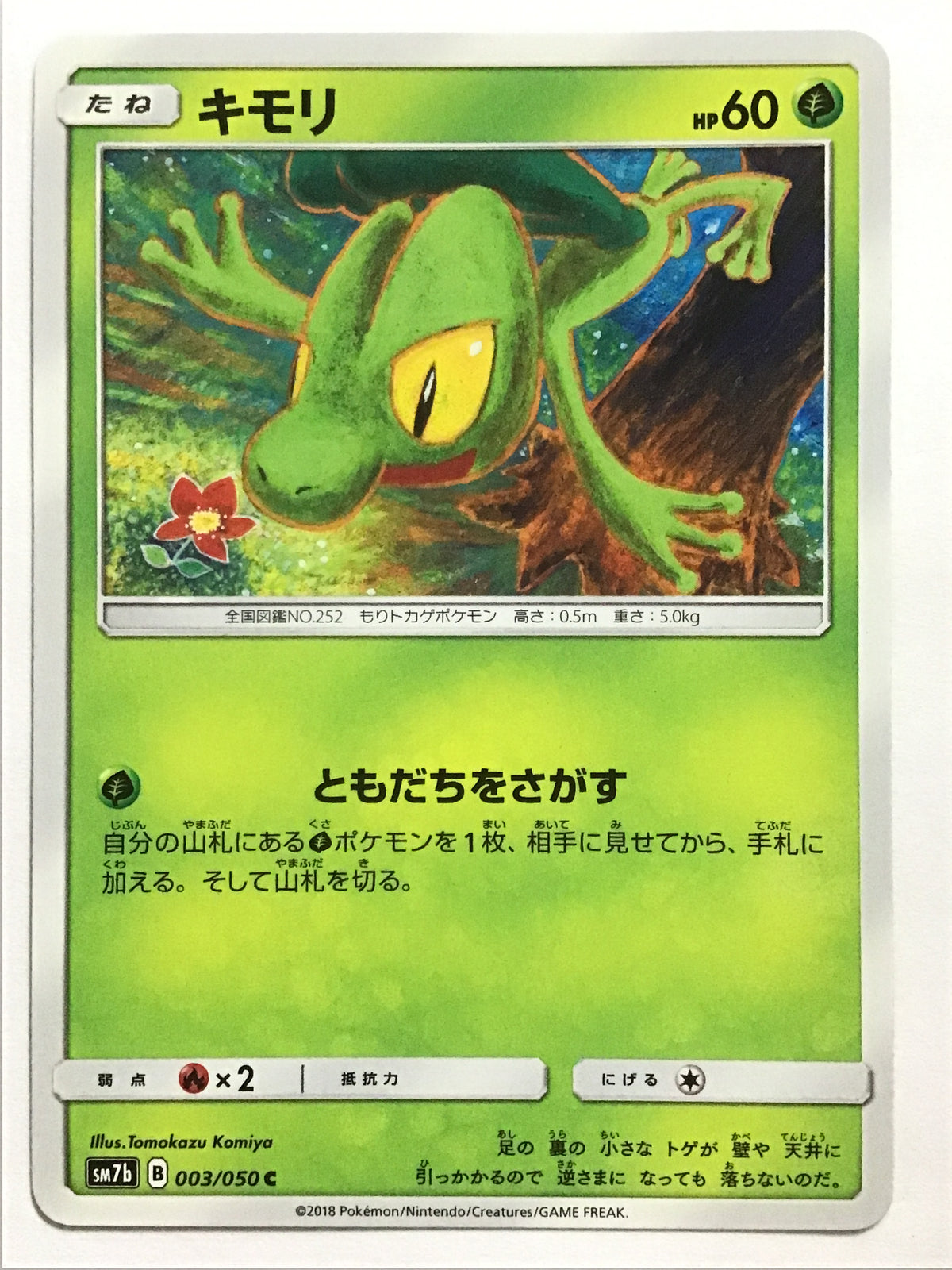 [EN] Treecko/Treecko/TREECKO - SM7b 003/050 /C/(Illust:Tomokazu K