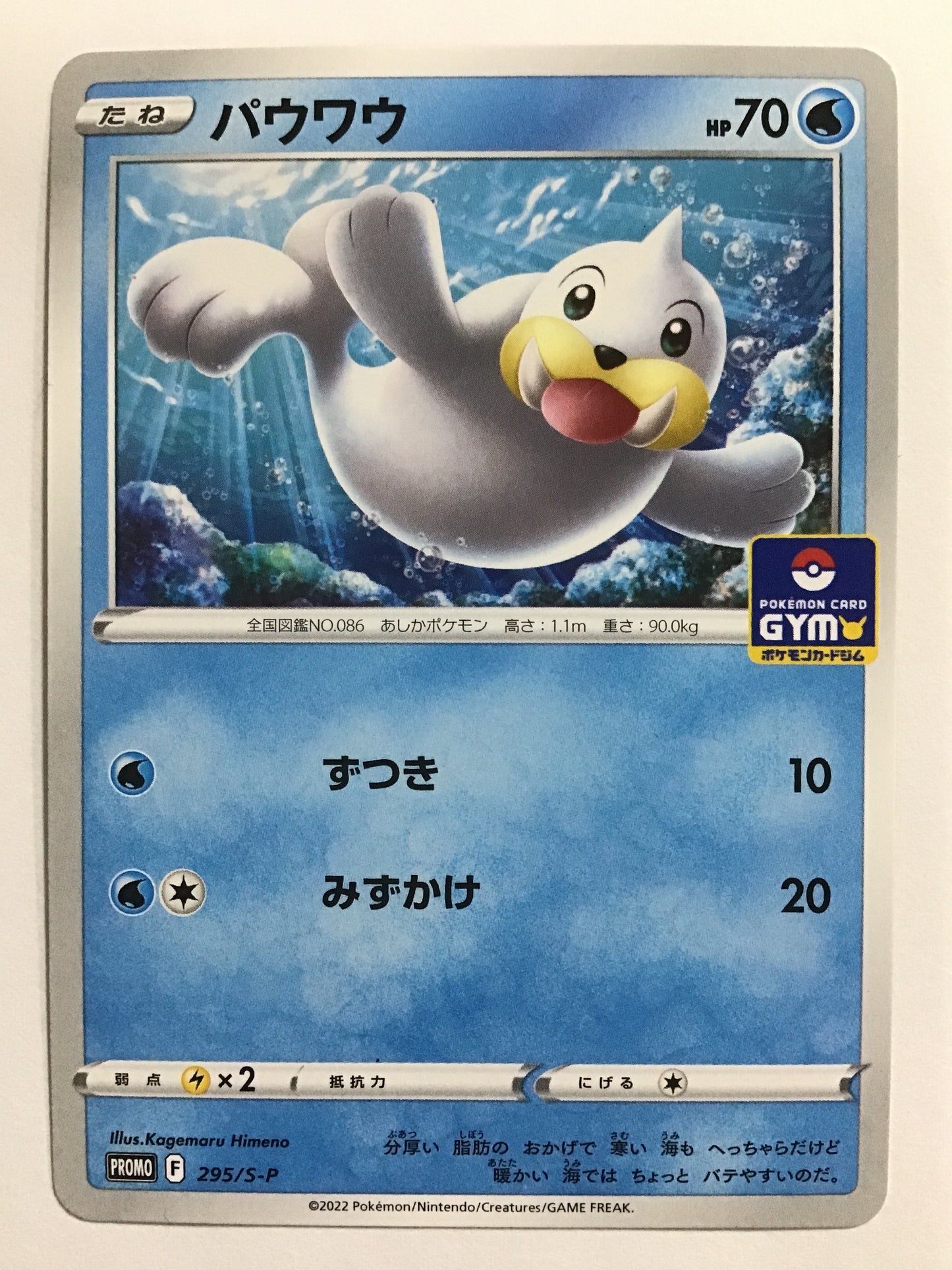 [EN] Dewgong/Dewgong/DEWGONG - 295/S-P/PROMO