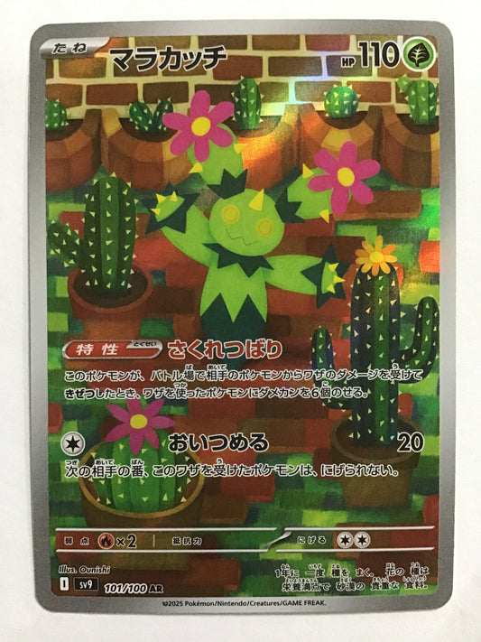 [JP] マラカッチ/マラカッチ/ﾏﾗｶｯﾁ - SV9 101/100/AR