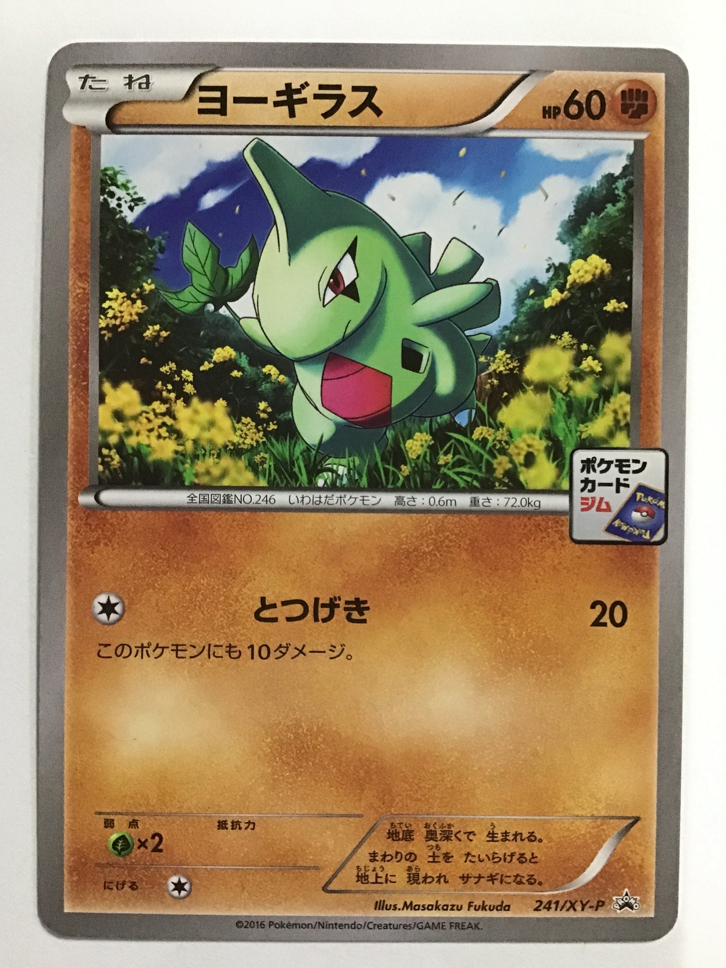 [JP] ヨーギラス/ヨーギラス/ﾖｰｷﾞﾗｽ - 241/XY-P /PROMO