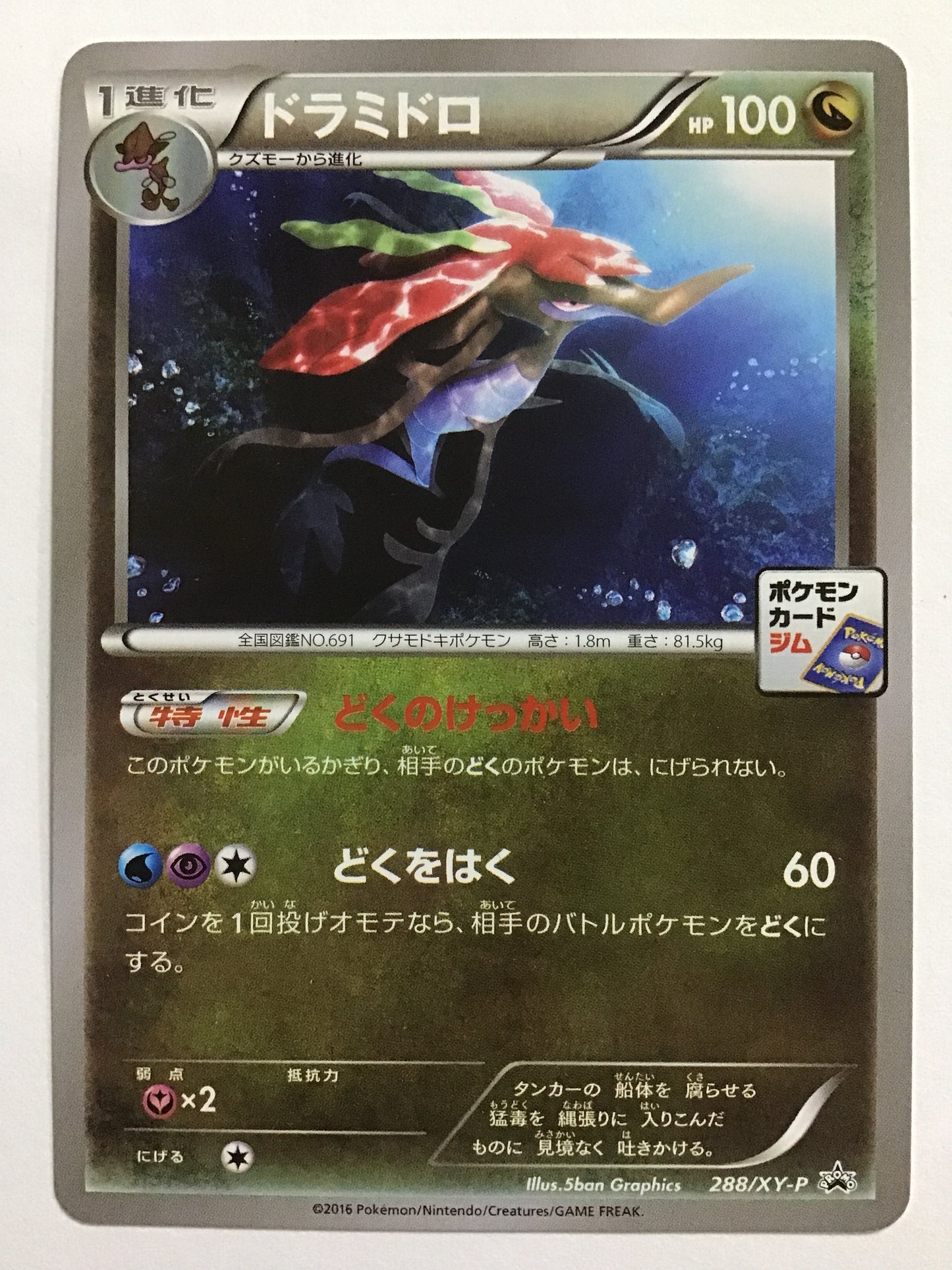 [JP] ドラミドロ/ドラミドロ/ﾄﾞﾗﾐﾄﾞﾛ - 288/XY-P /PROMO