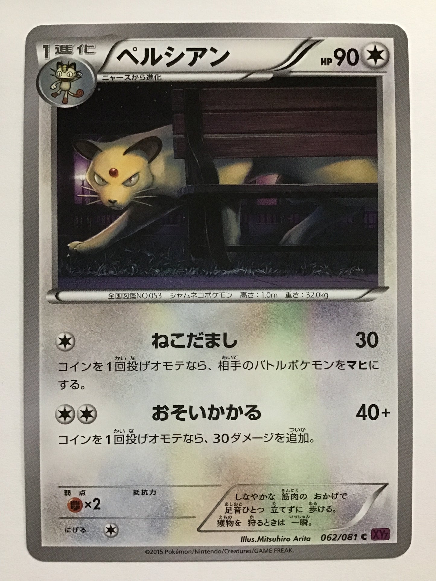 [EN] Persian/Persian/Persian - XY7 062/081 /C/(Illus: Mitsuhiro