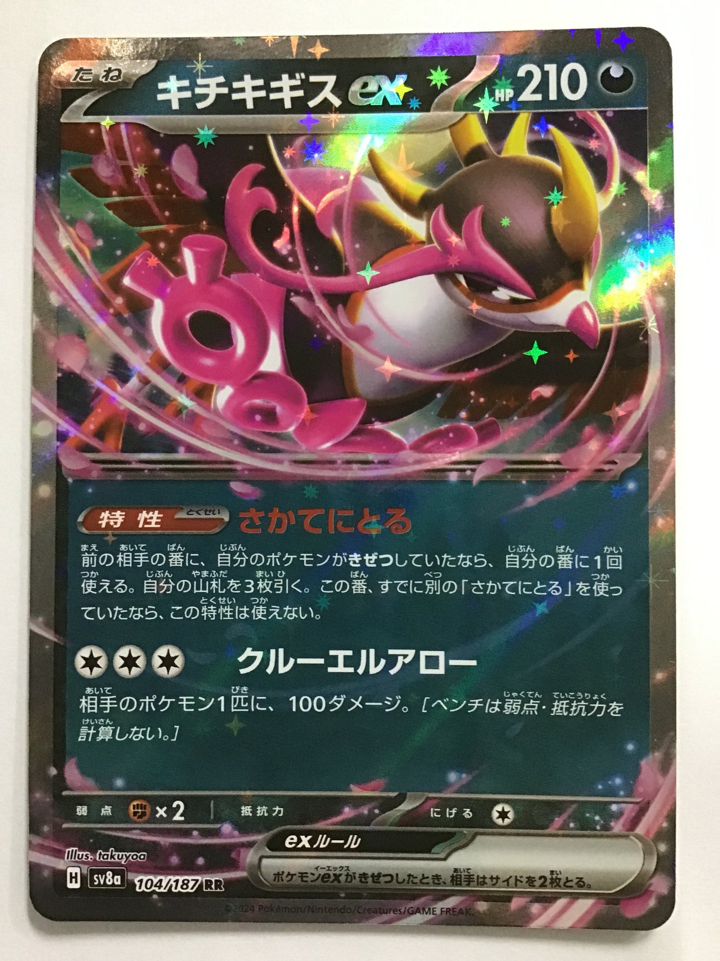 [JP] キチキギスex/キチキギスex/ｷﾁｷｷﾞｽex - SV8A 104/187/RR