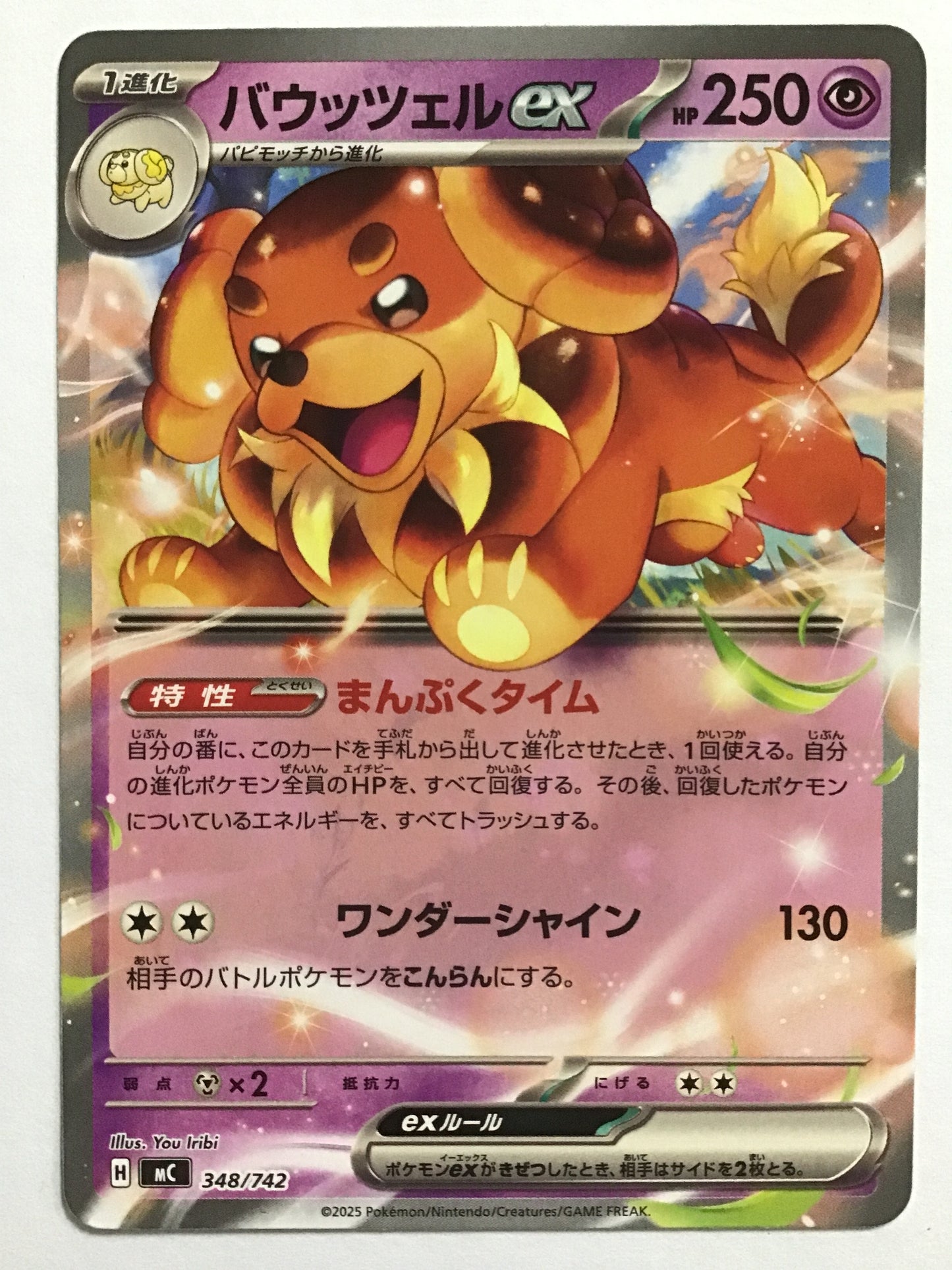 [EN] Bouffalant ex/BouffalantEX/BOUFFALANTEX - MC 348/742/- (Normal)