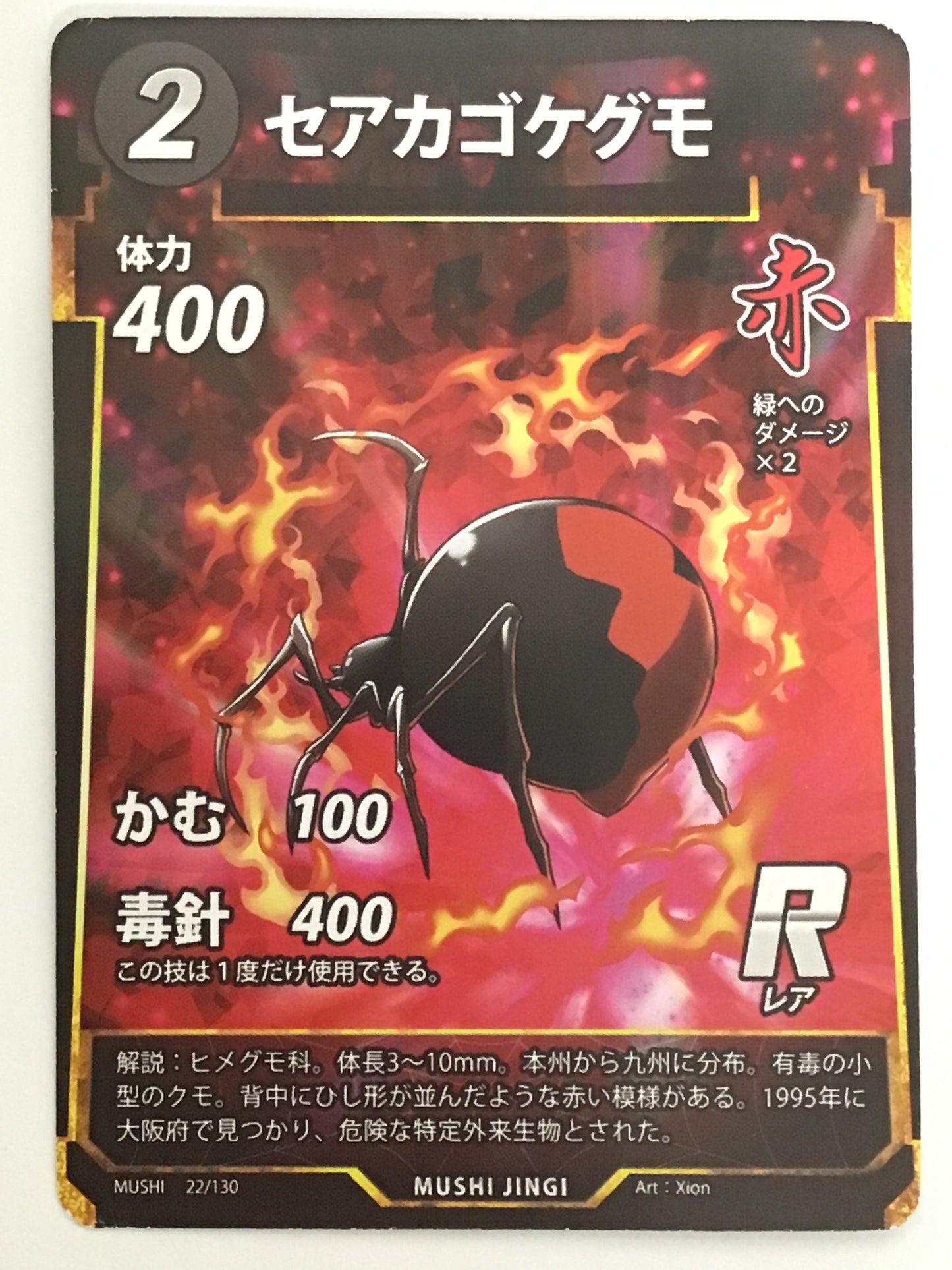 [JP]セアカゴケグモ/セアカゴケグモ/ｾｱｶｺﾞｹｸﾞﾓ/  - 22/130/R