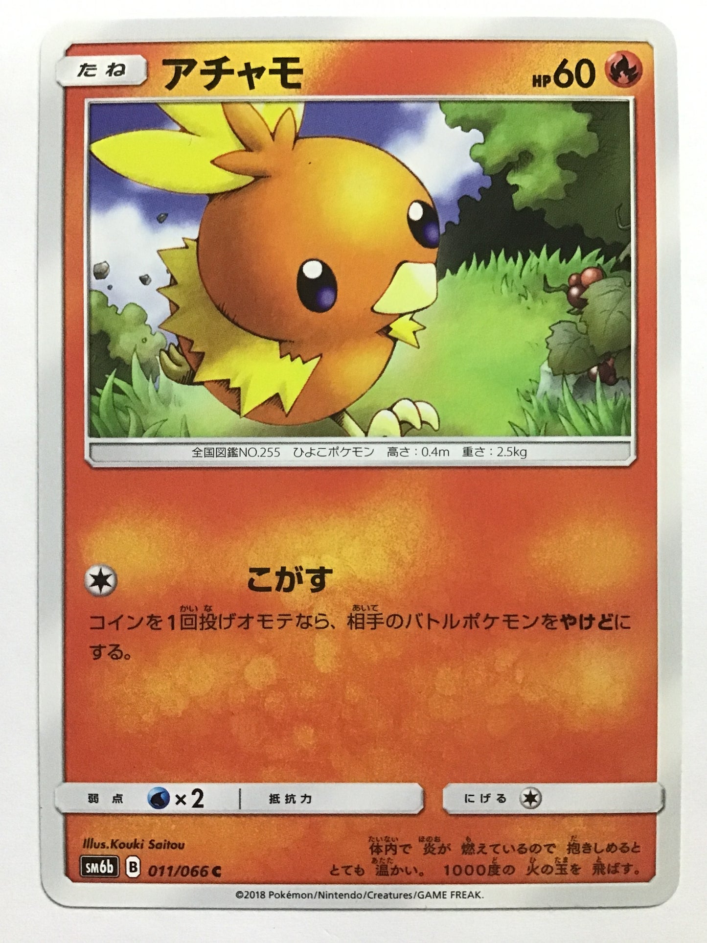 [EN] Torchic/Torchic/TORCHIC - SM6b 011/066 /C/(ILLUS:Kouki Sait