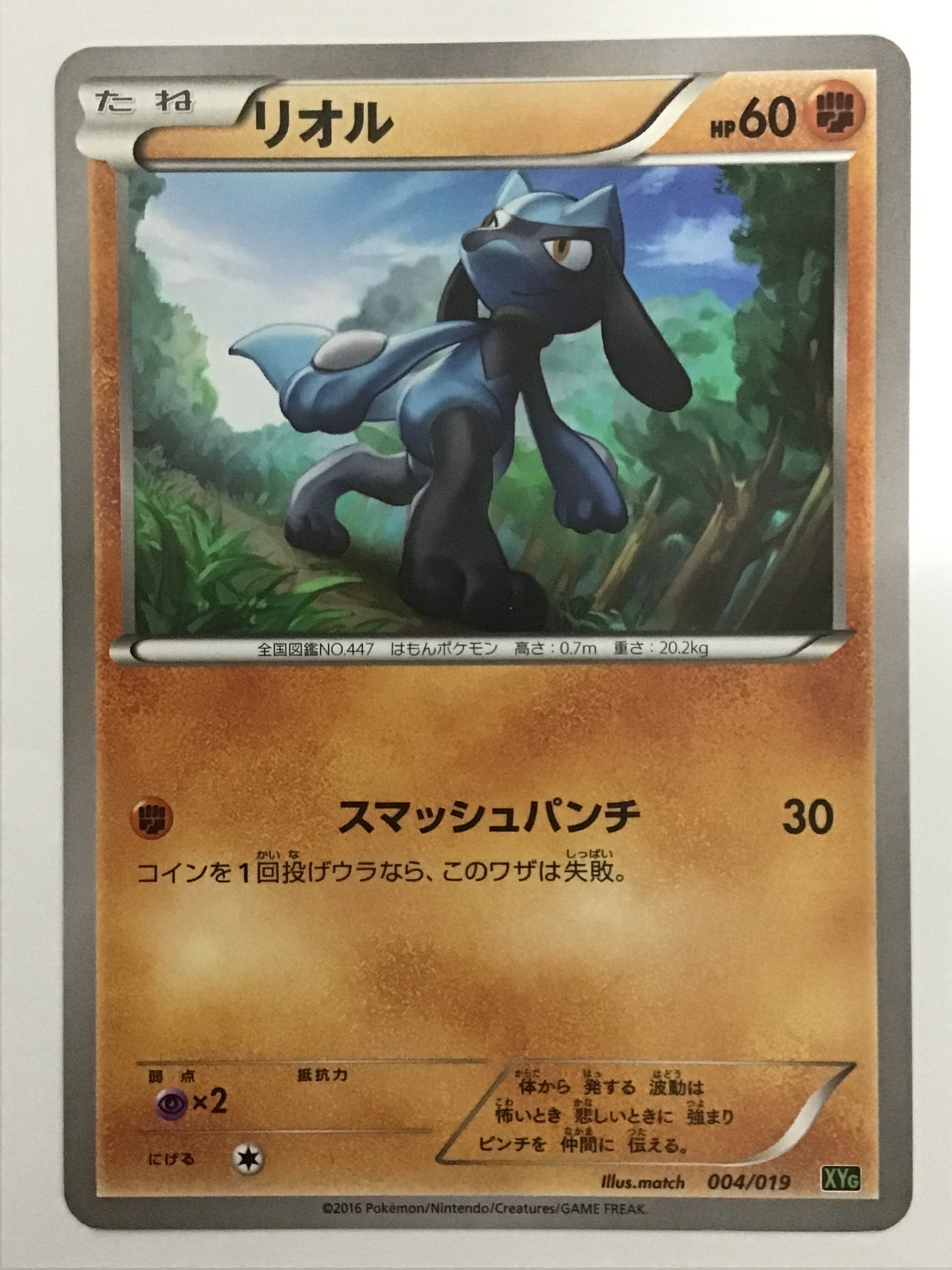 [JP] リオル/リオル/ﾘｵﾙ - XYG 004/019 /なし