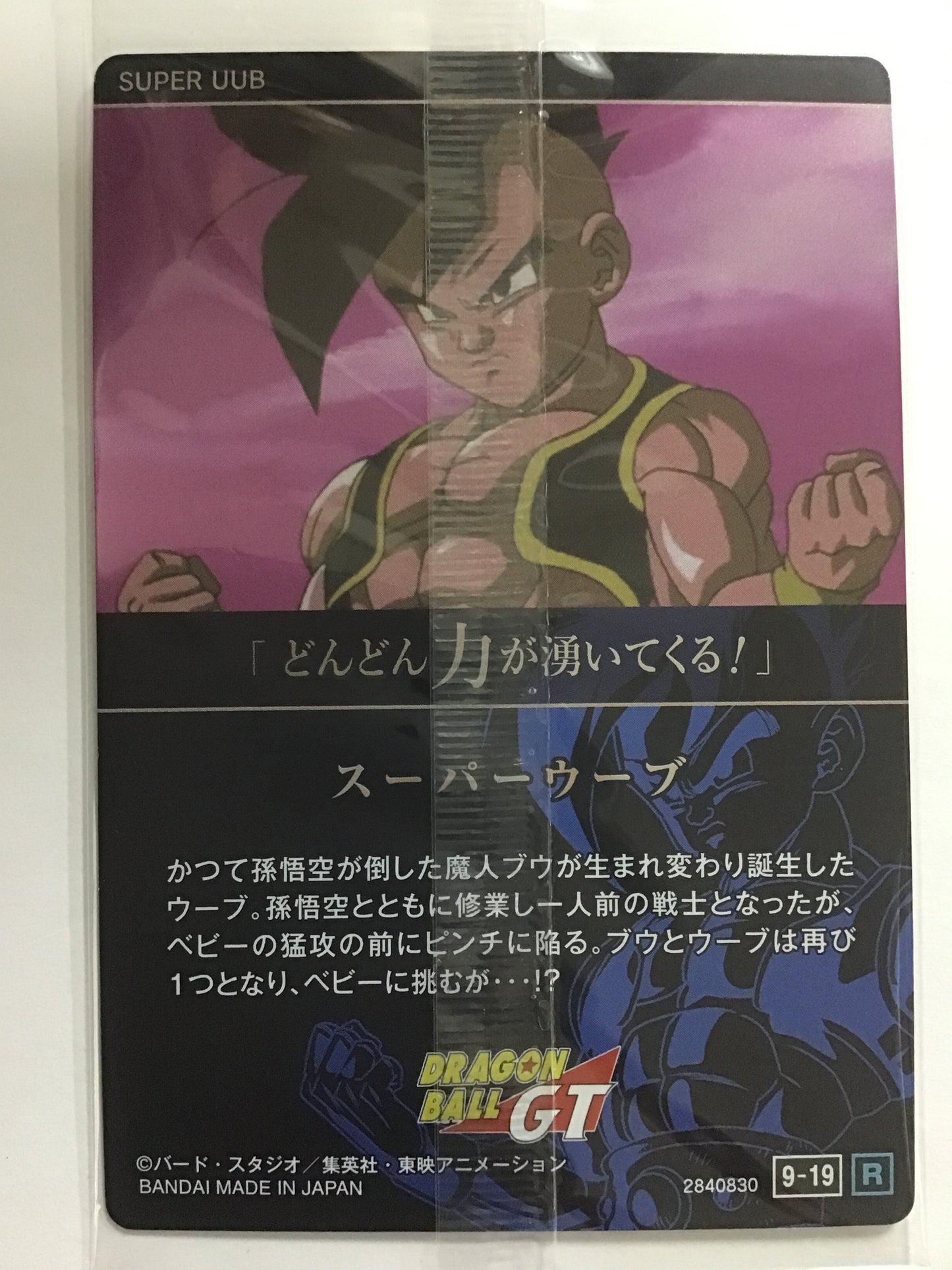 [JP] スーパーウーブ/スーパーウーブ/ｽｰﾊﾟｰｳｰﾌﾞ/9-19 /R