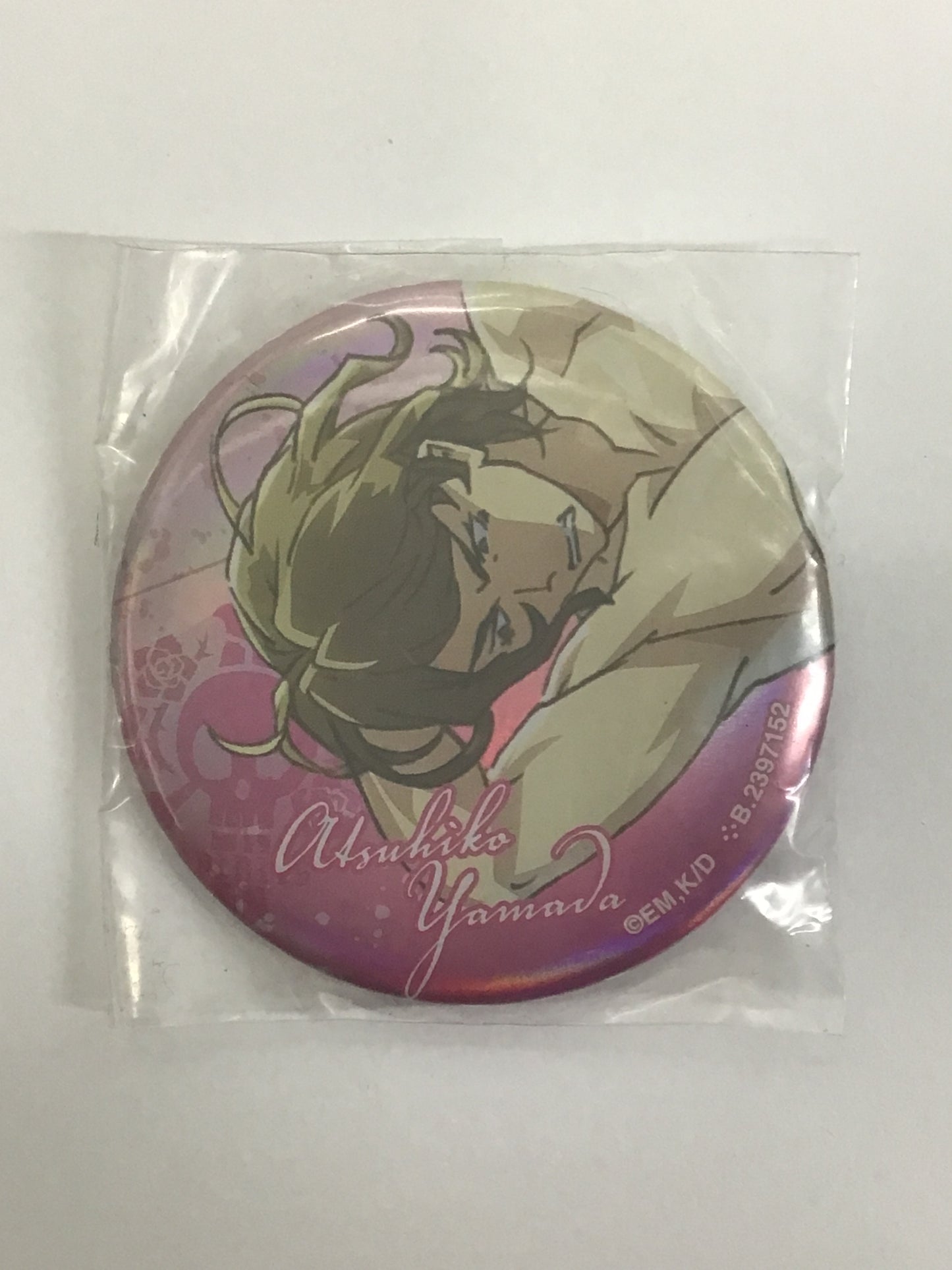 DIVE カプセル 缶バッジコレクション 山田篤彦