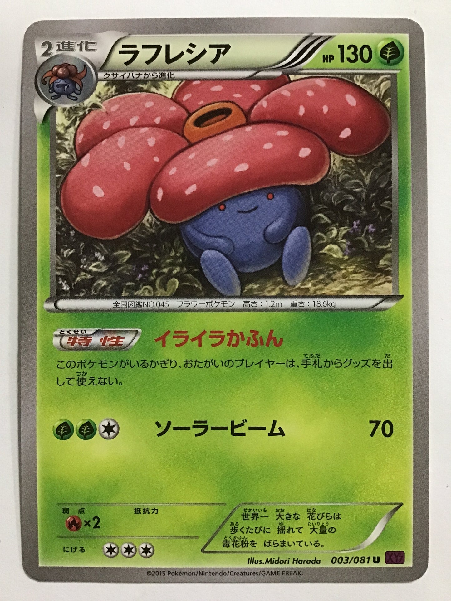 [JP] Rafflesia/Rafflesia/Rafflesia - XY7 003/081 /U