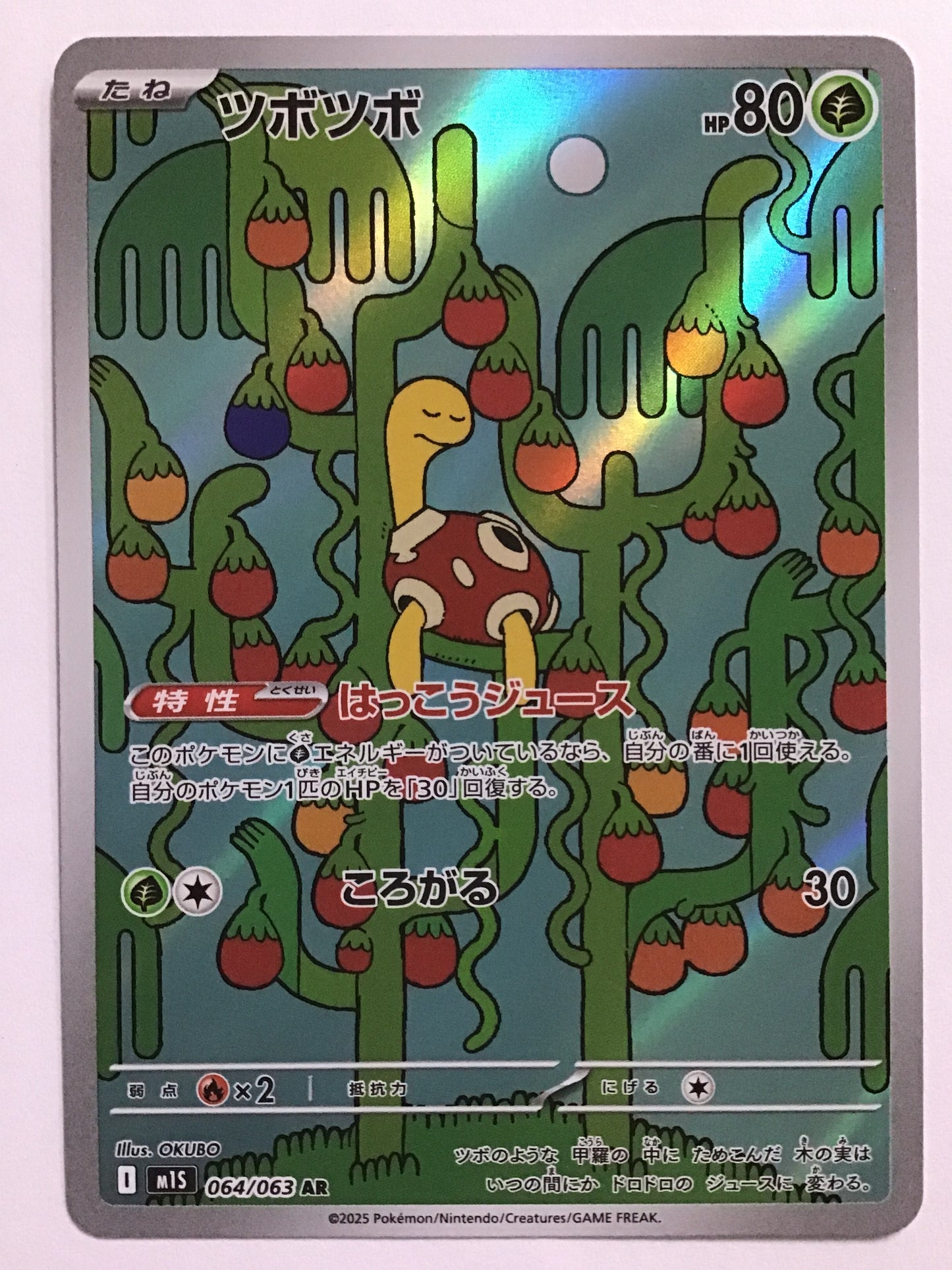 [JP] ツボツボ/ツボツボ/ﾂﾎﾞﾂﾎﾞ - M1S 064/063/AR