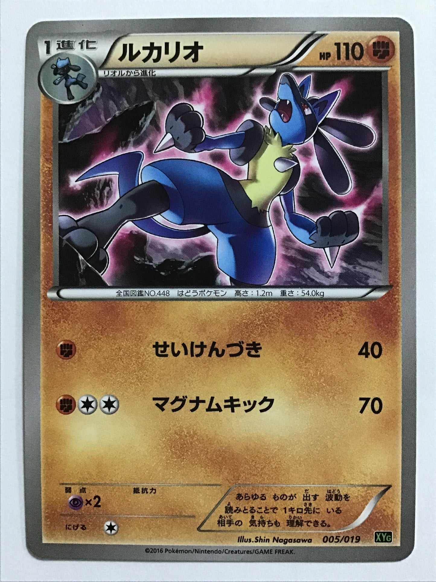 [JP] ルカリオ/ルカリオ/ﾙｶﾘｵ - XYG 005/019 /なし