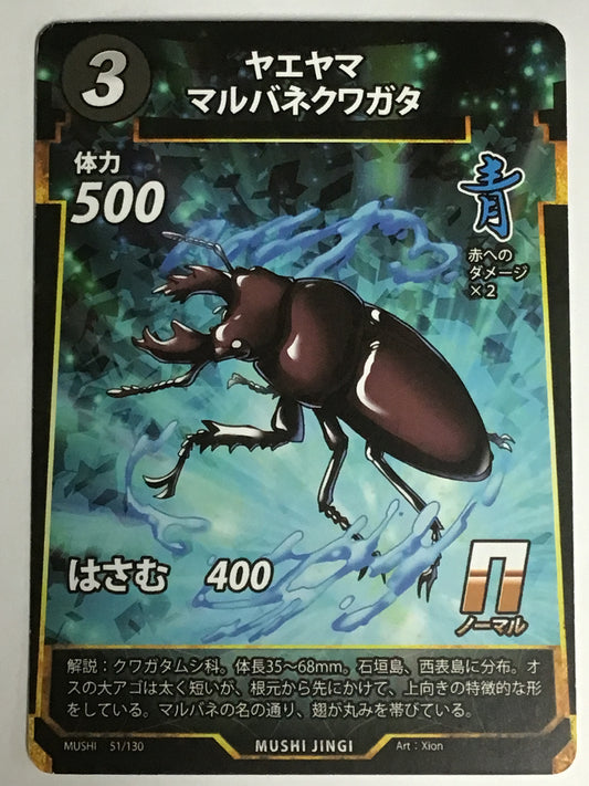 [JP]ヤエヤママルバネクワガタ/ヤエヤママルバネクワガタ/ﾔｴﾔﾏﾏﾙﾊﾞﾈｸﾜｶﾞﾀ/  - 52/130/N