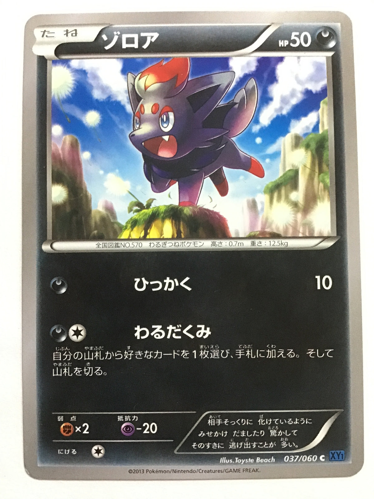 [EN] Zorua/Zorua/ゾロア - XY1 037/060 Blue/C/(Illust. Toyste Bea