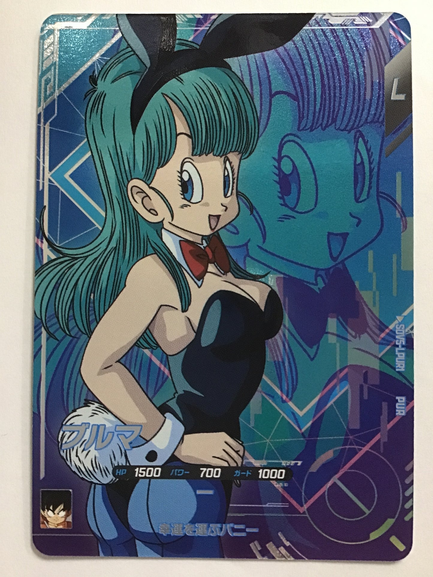 [JP] ブルマ/ブルマ/ﾌﾞﾙﾏ - SDV5-LPUR1/PUR