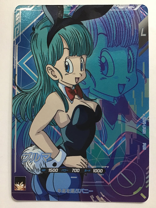 [JP] ブルマ/ブルマ/ﾌﾞﾙﾏ - SDV5-LPUR1/PUR