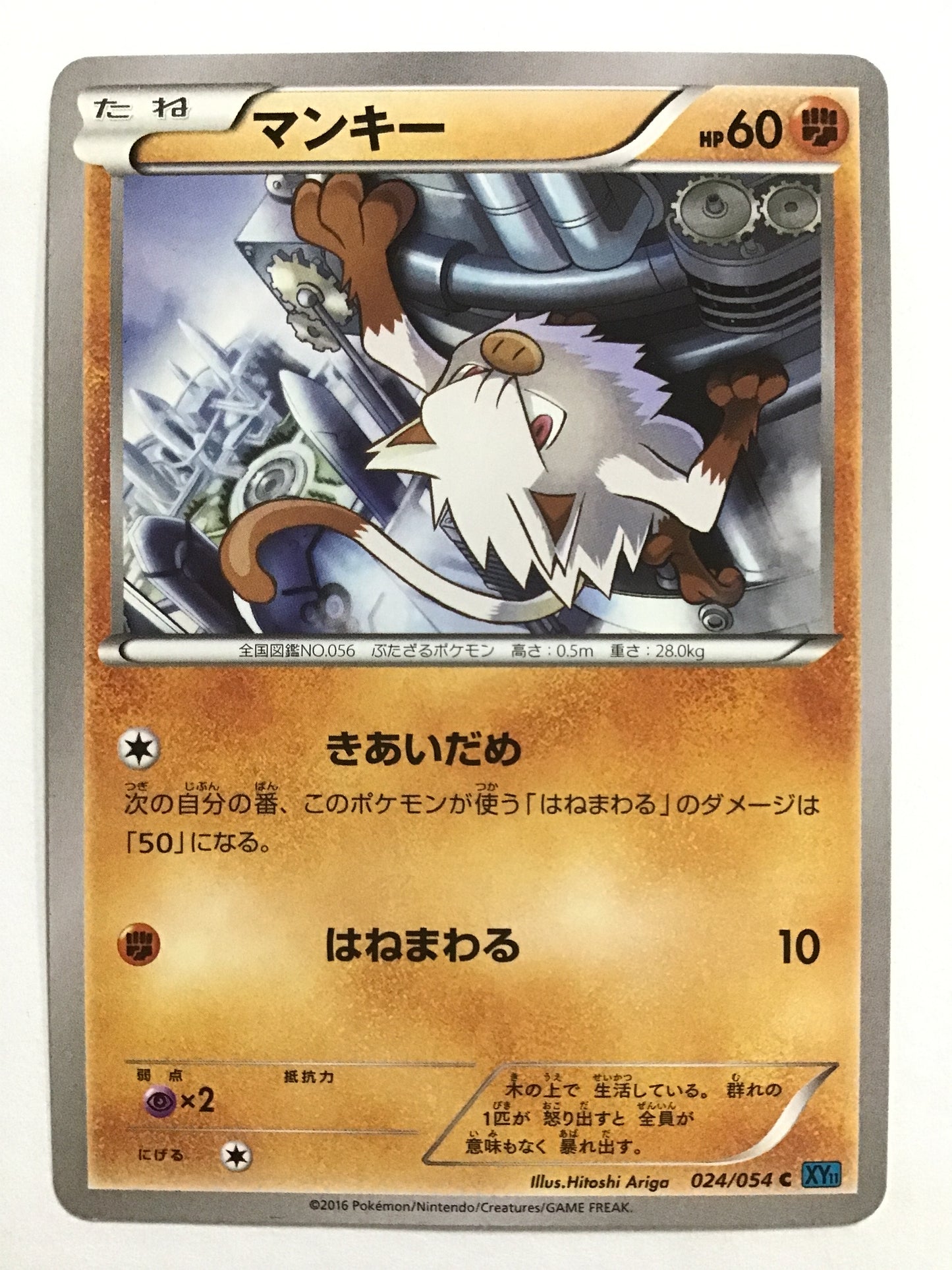 [JP] Mankey/Munky/Munky - XY11 024/054 Blue/C