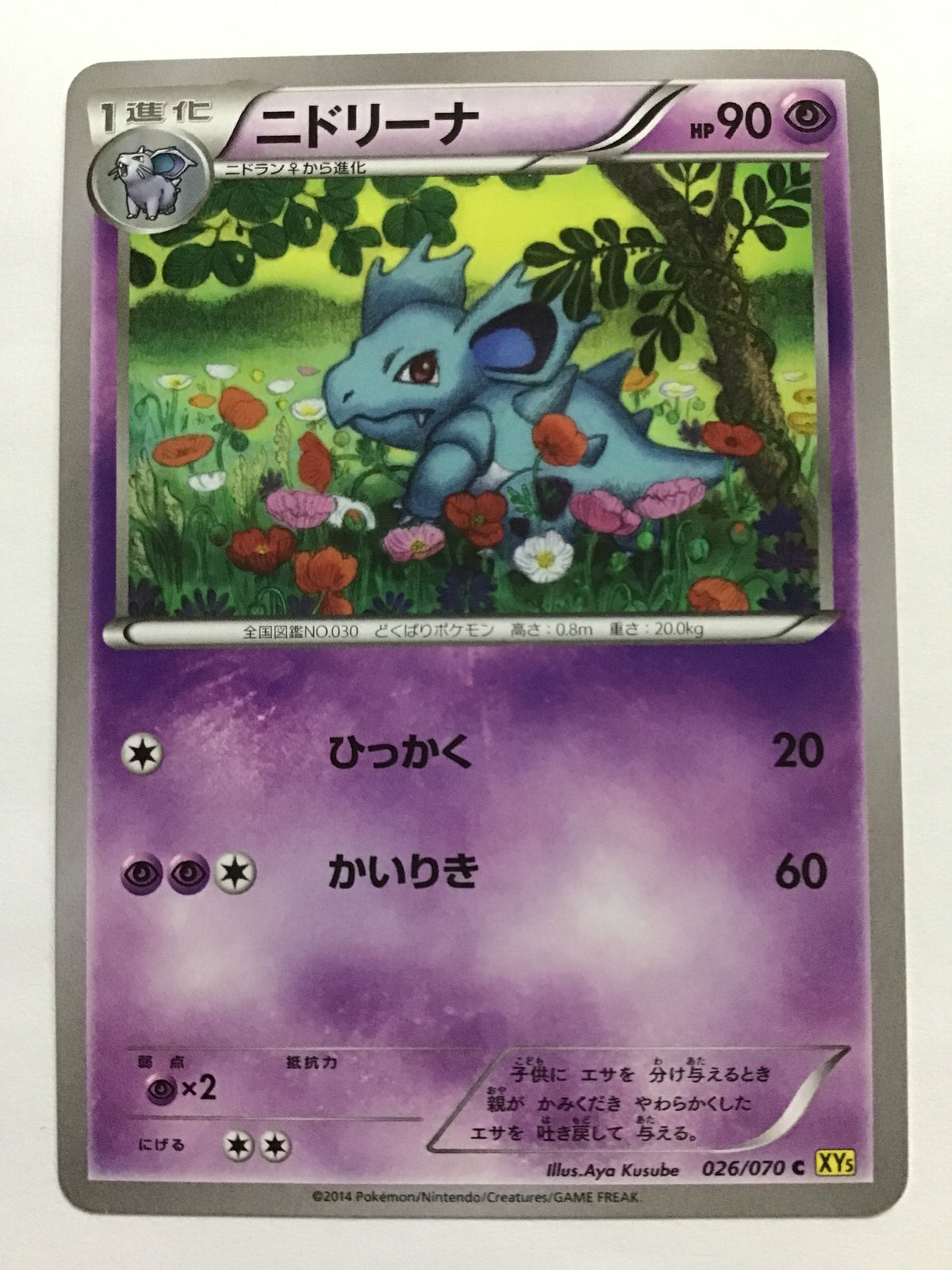 [EN] Nidorina/Nidorina/Nidorina - XY5 026/070 ?/C/(Illustrator: Aya Kusube