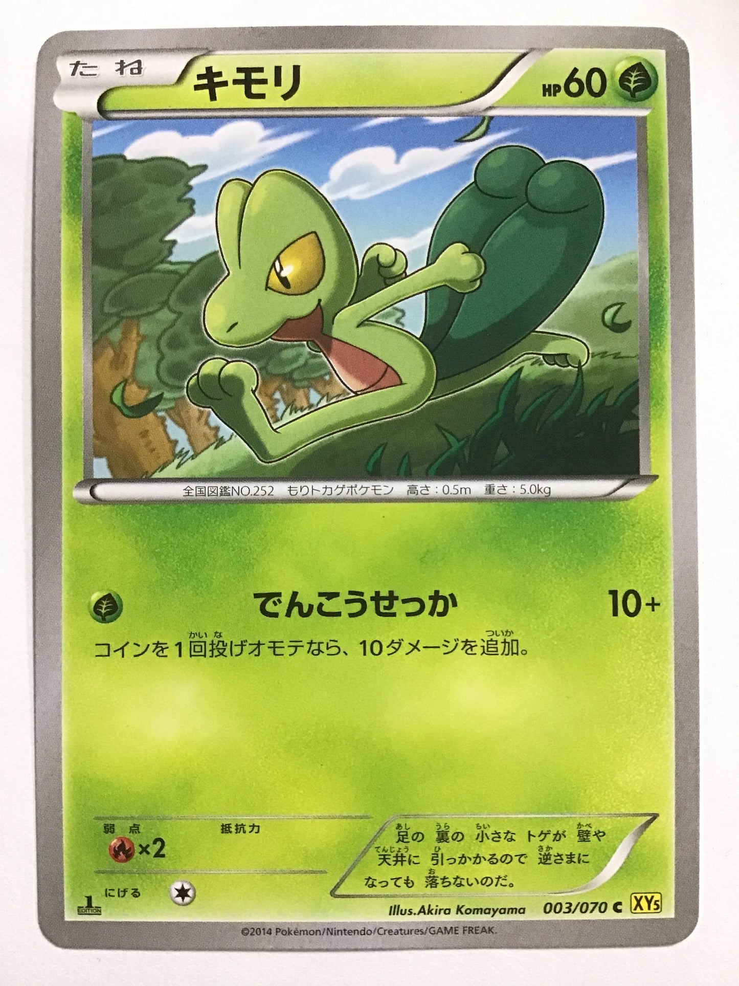 [JP] キモリ/キモリ/ｷﾓﾘ - XY5 003/070 黄/C (1ED)