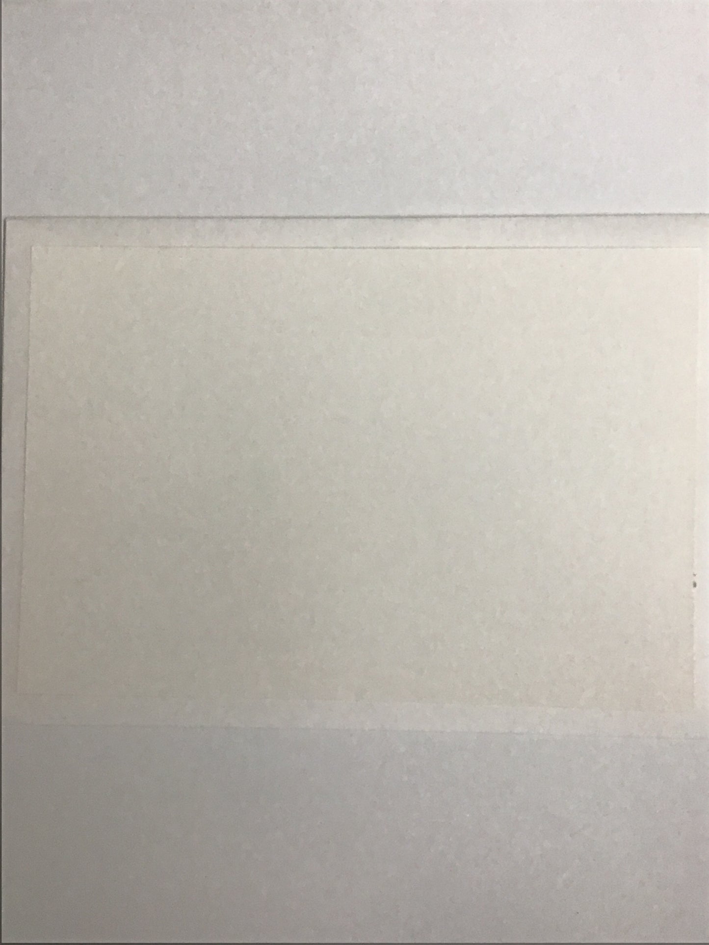 五等分の花嫁 劇場版公開記念フェア 映画 五つ子ちゃんのウェディングストーリー 第2弾 封筒入りメッセージカード 中野五月