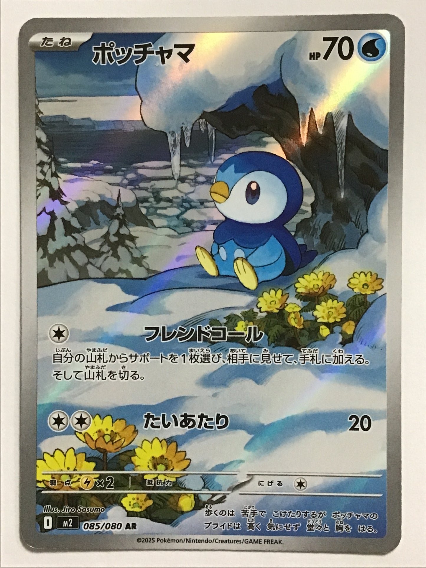 [JP] ポッチャマ/ポッチャマ/ﾎﾟｯﾁｬﾏ - M2 085/080/AR