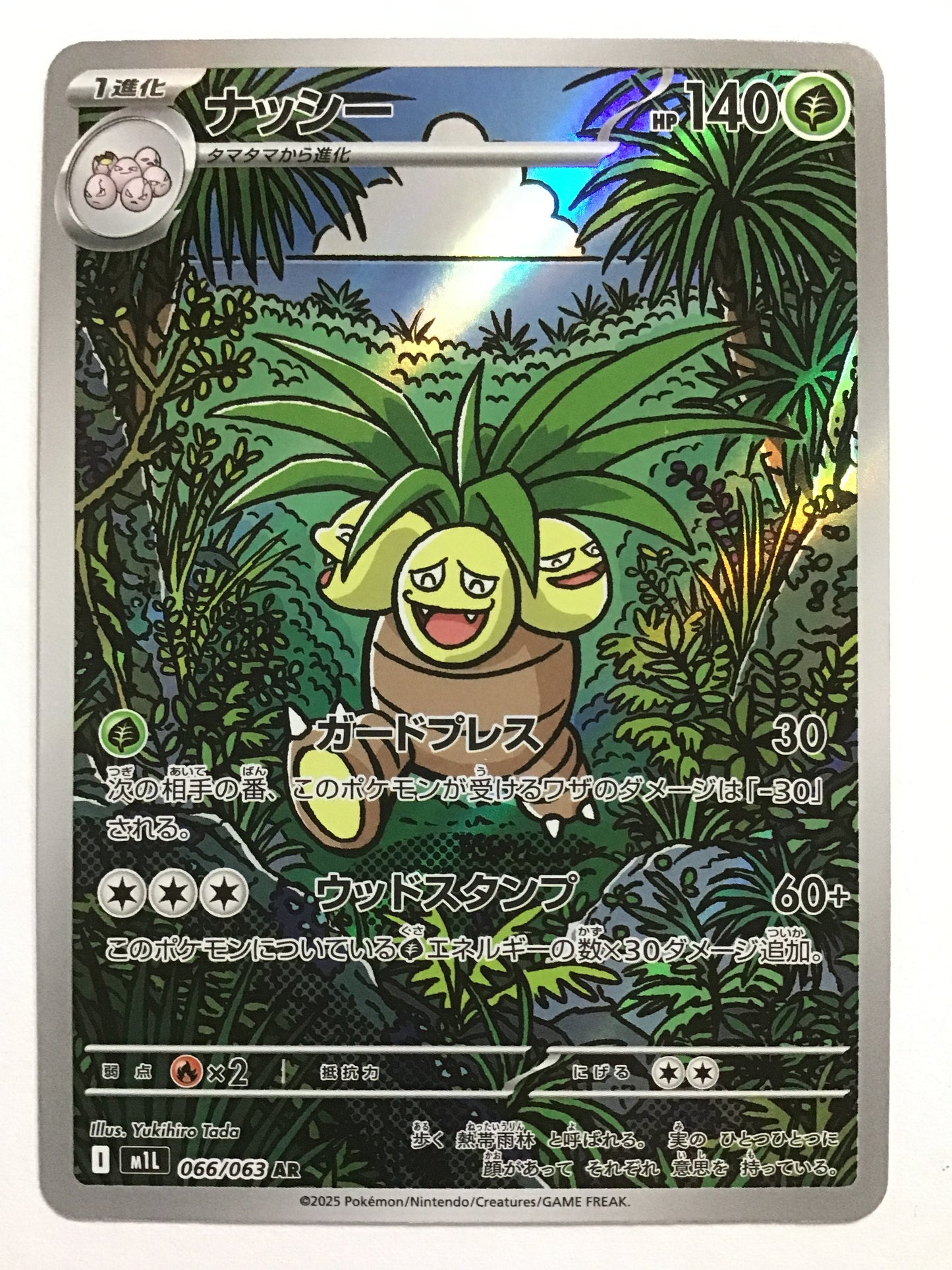 [JP] ナッシー/ナッシー/ﾅｯｼｰ - M1L 066/063/AR