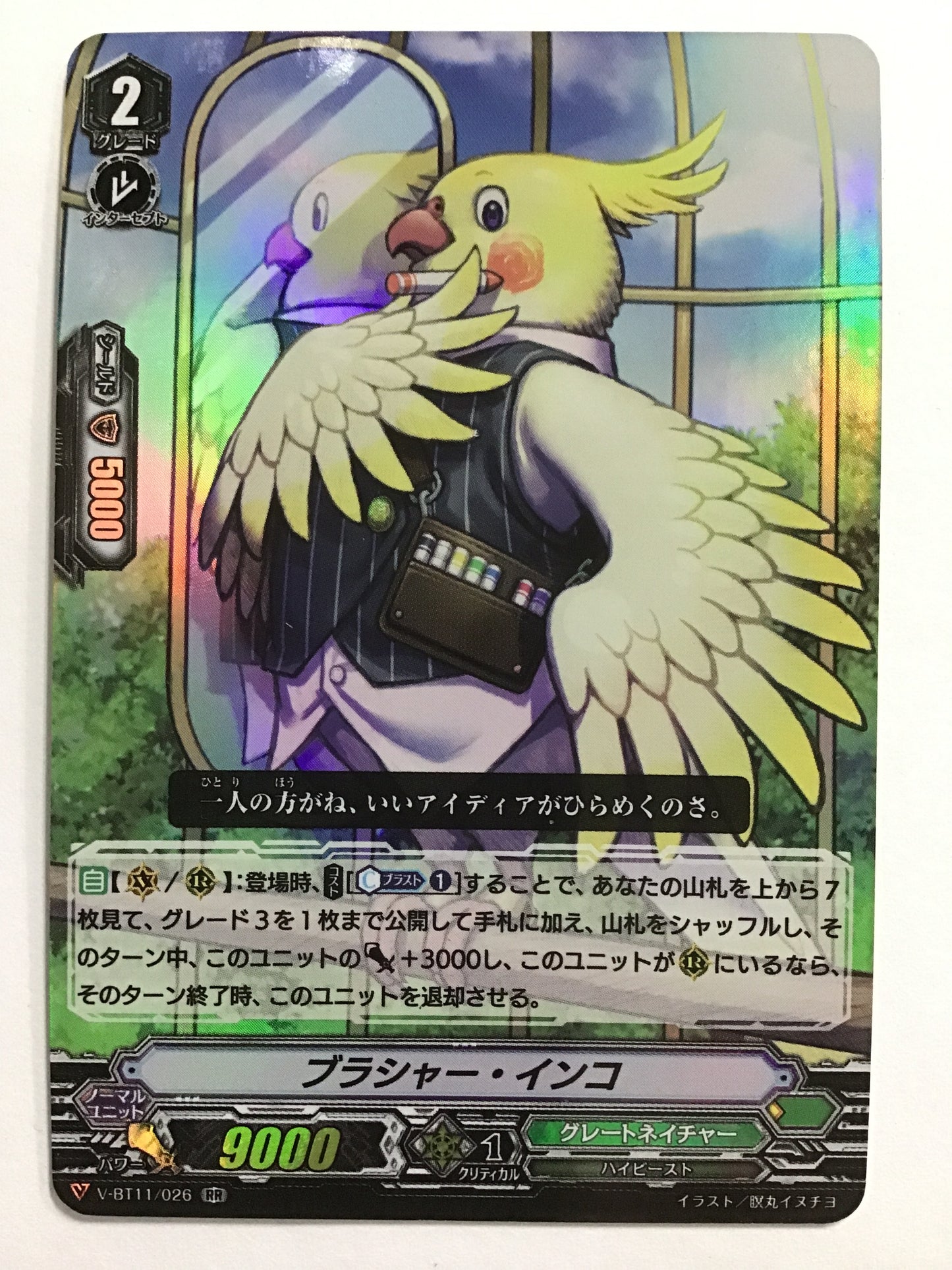[JP] Brassier Parakeet/Brasher Parakeet/Brassier Parakeet - V-BT11/026/RR