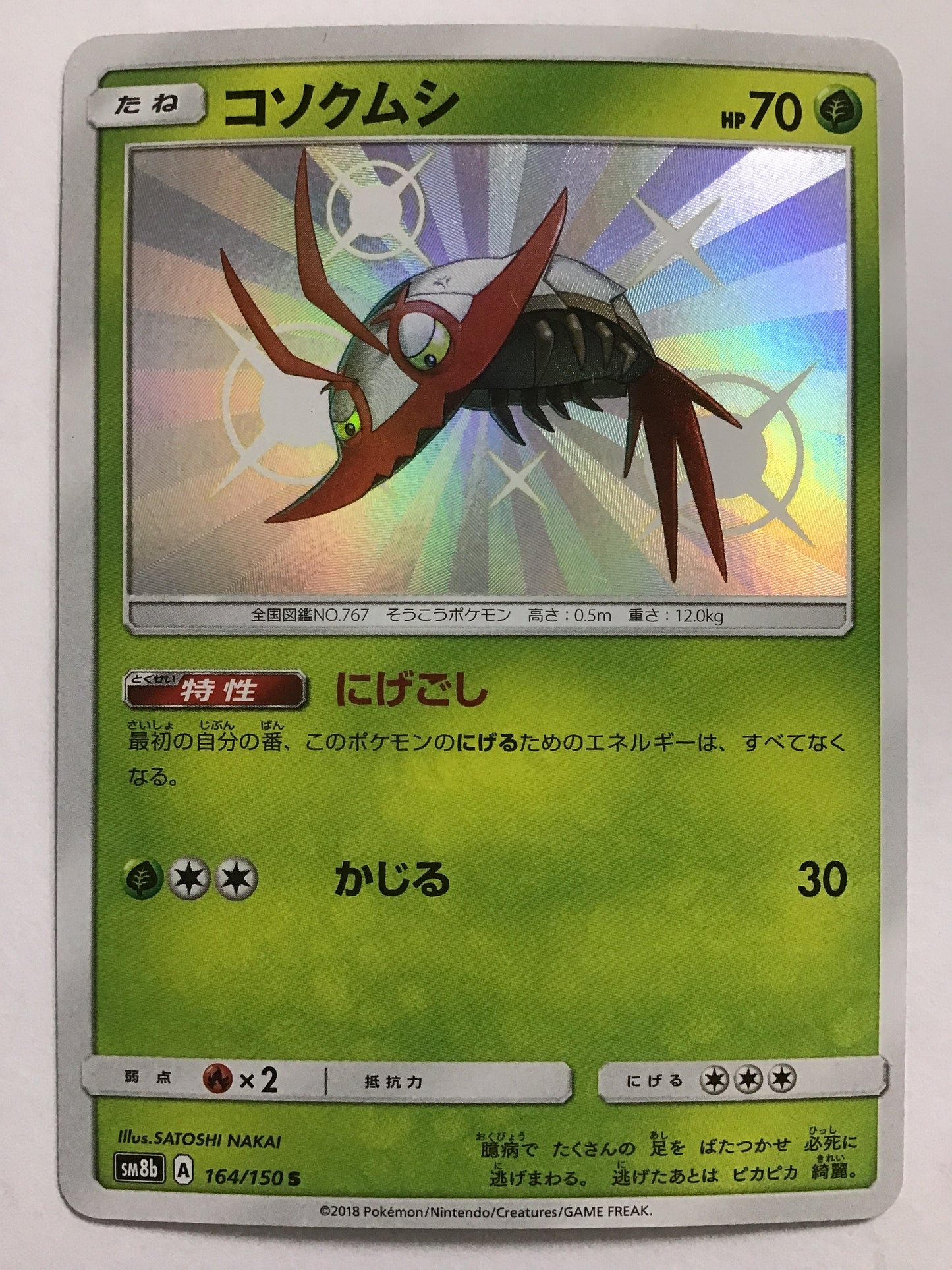 [JP] Cosokumushi / Cosokumushi / Cosokumushi - SM8b 164/150 /S
