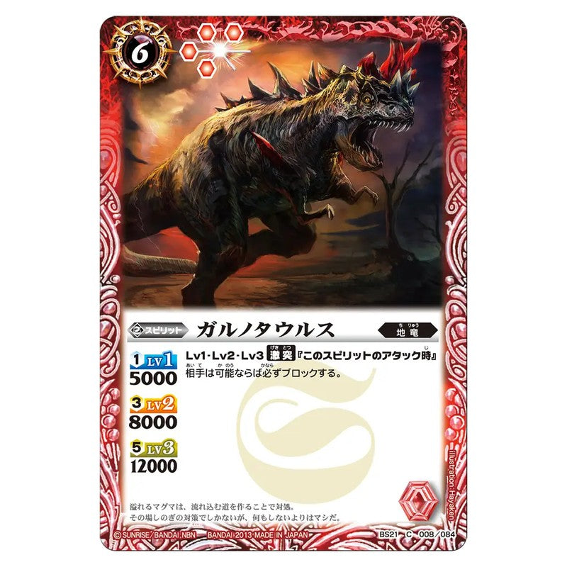 BS21-008