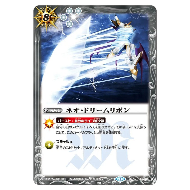 BS25-079