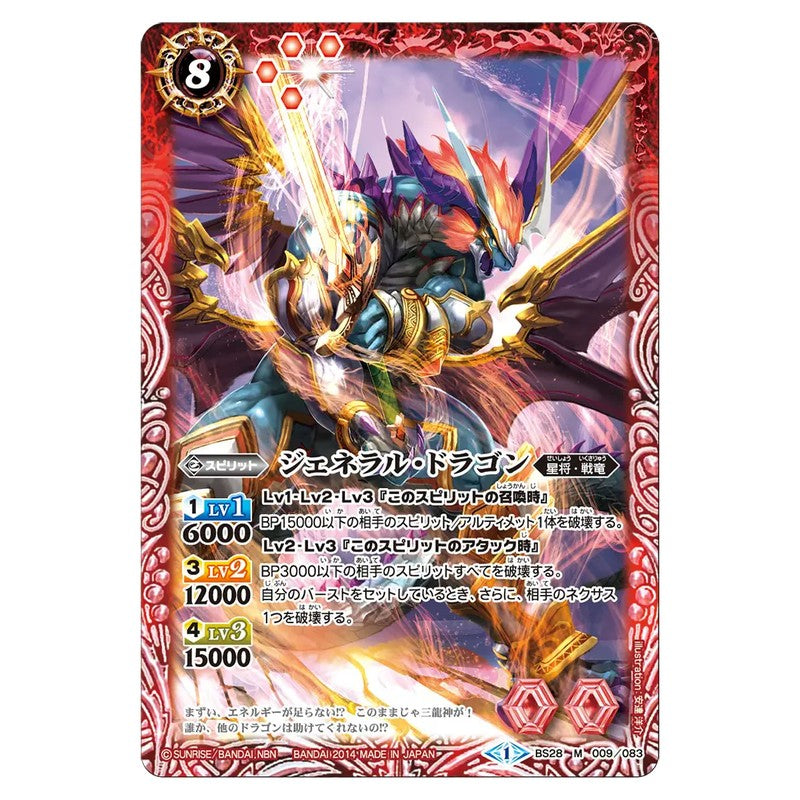 BS28-009