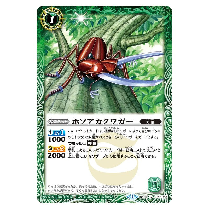BS29-015