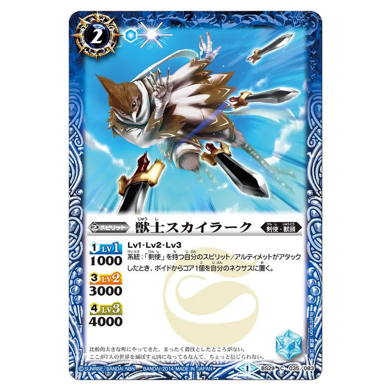 BS29-035