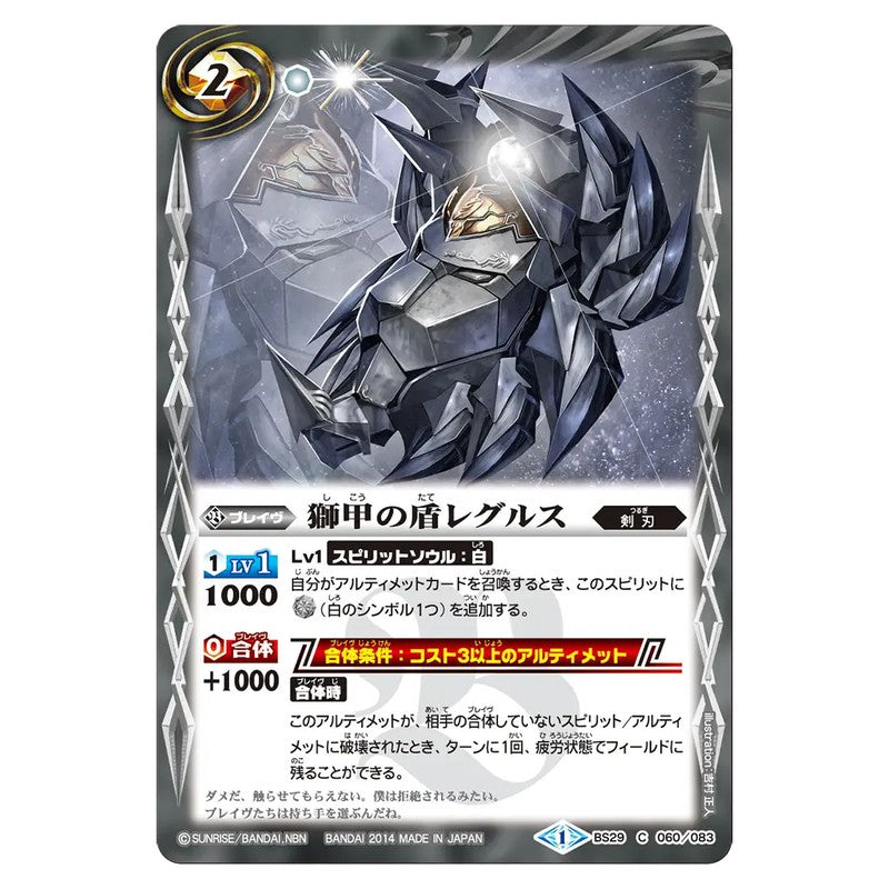 BS29-060