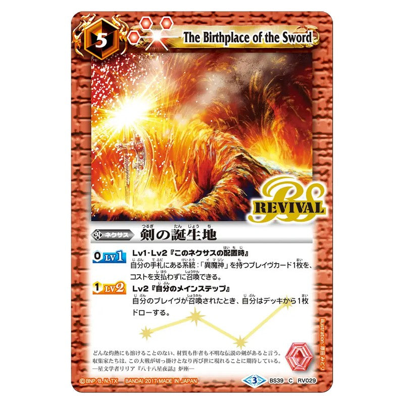 BS39-RV029