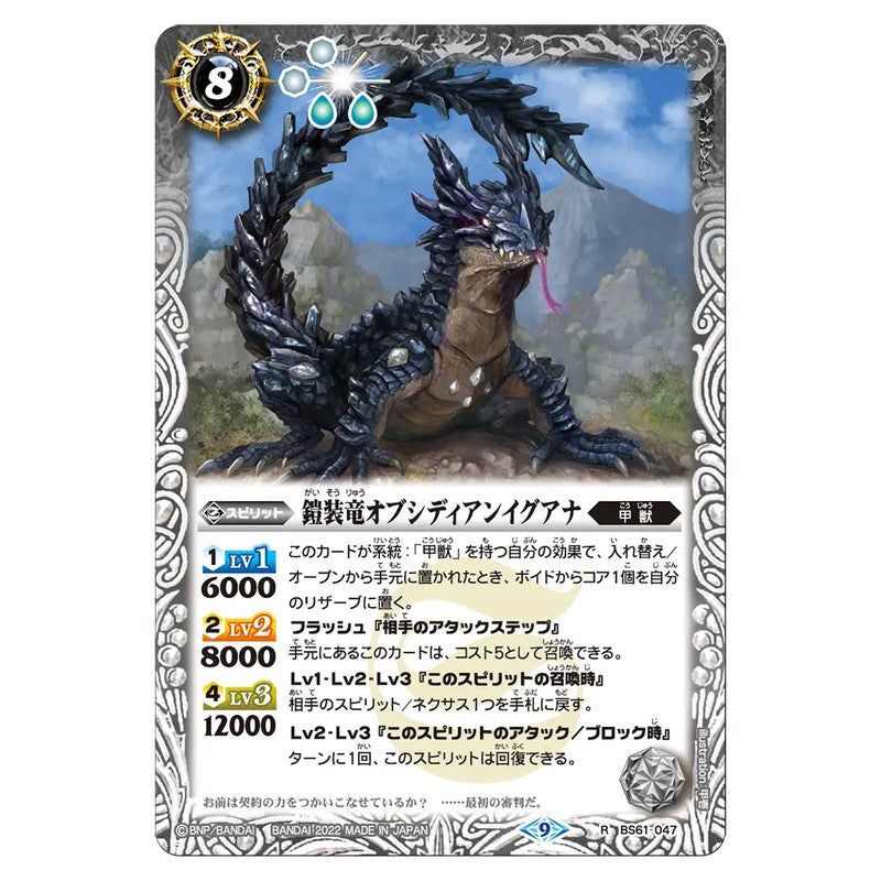 BS61-047
