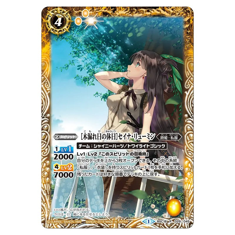 BSC18-029