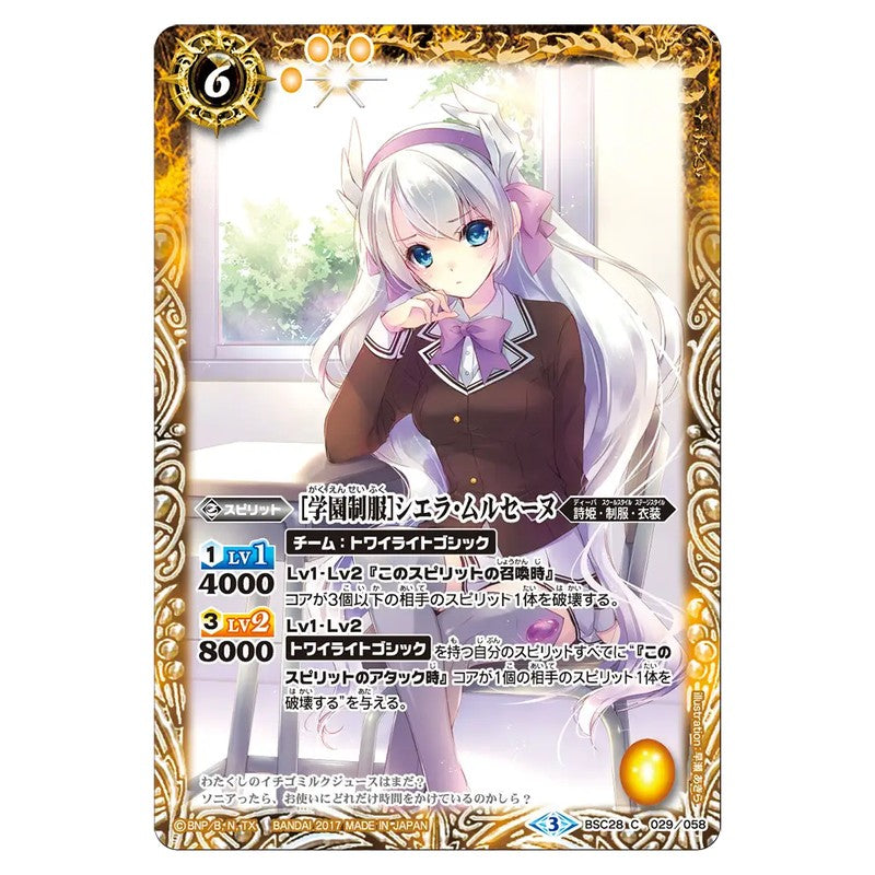 BSC28-029