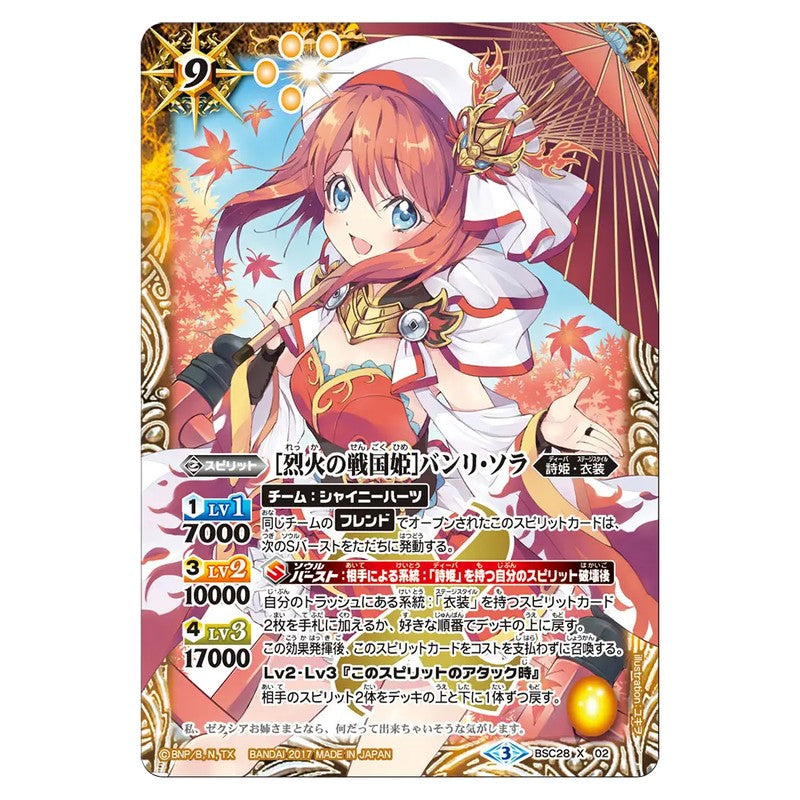 BSC28-X02