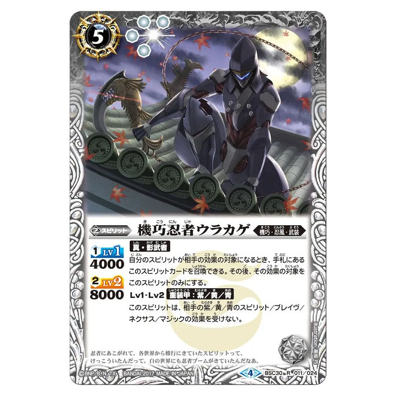 BSC30-011