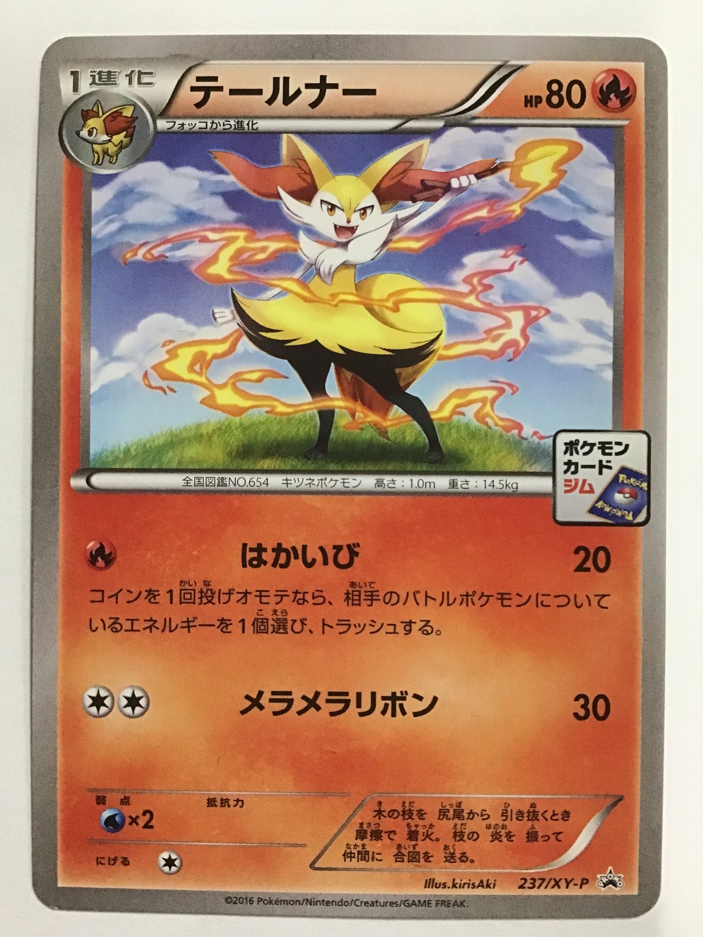 [JP] テールナー/テールナー/ﾃｰﾙﾅｰ - 237/XY-P /PROMO