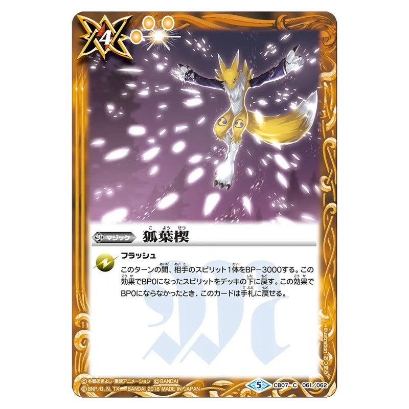 CB07-061