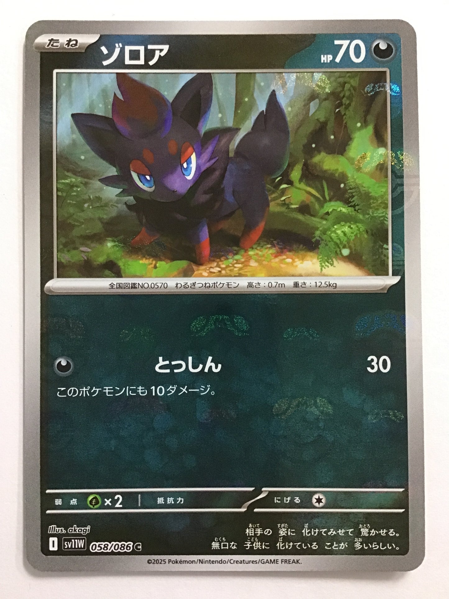 [JP] ゾロア/ゾロア/ｿﾞﾛｱ - SV11W 058/086/C (ﾏｽﾀｰﾎﾞｰﾙﾐﾗｰ)