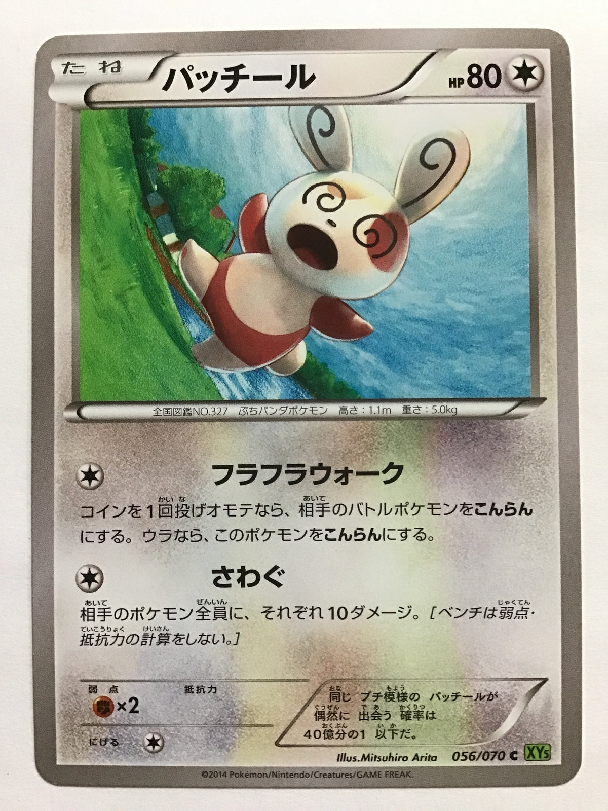 [EN] Spinda/Spinda/Spinda - XY5 056/070 Green/C/(Illustration: Mitsuhiro